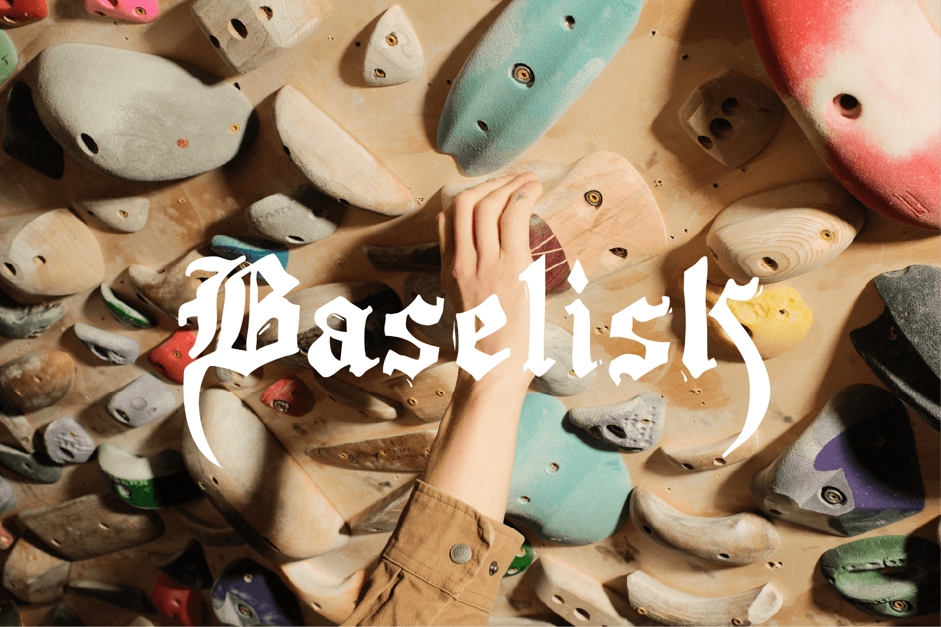 Baselisk Holds