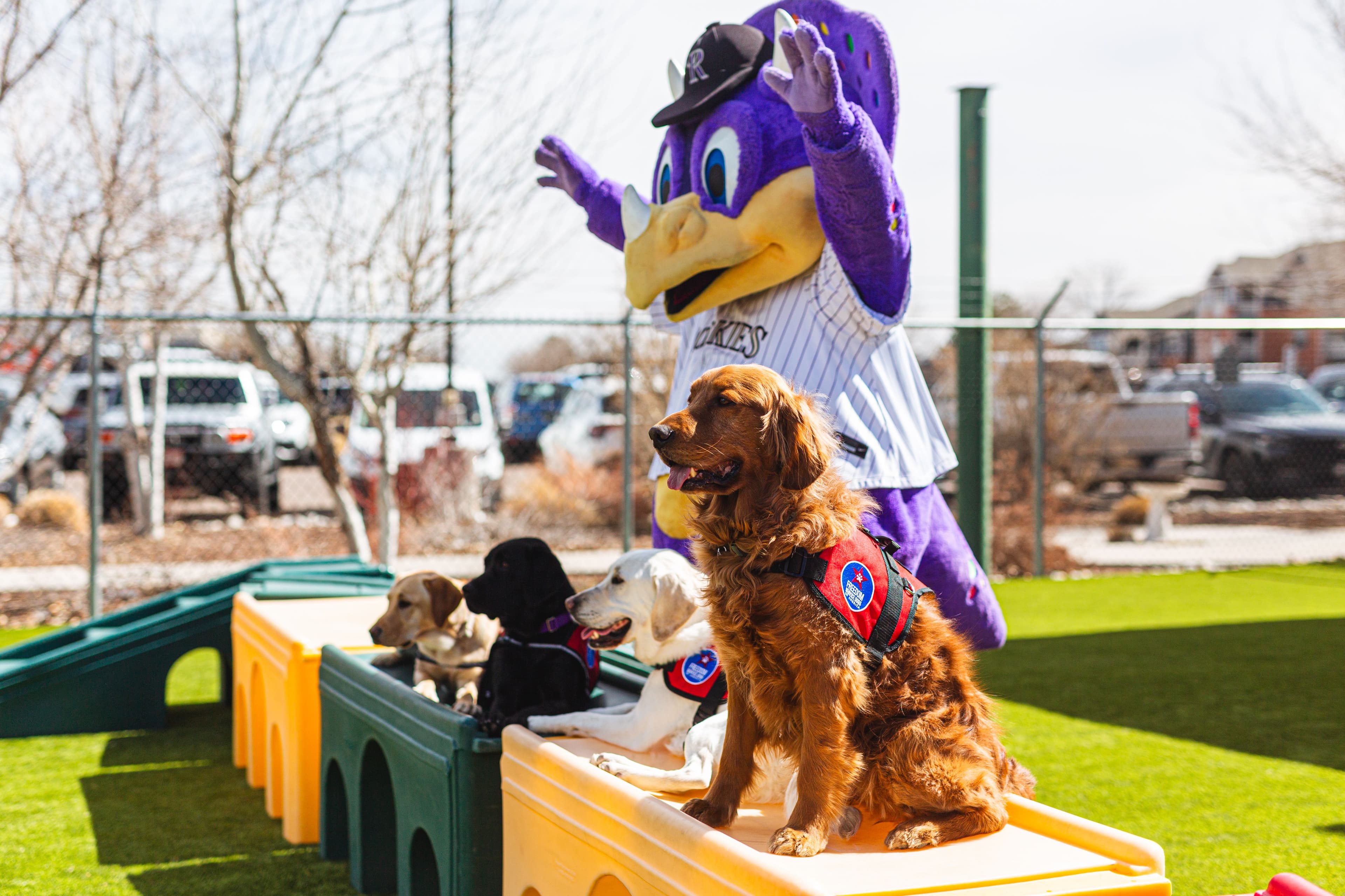 UC Health x Colorado Rockies